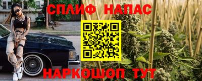 индика Пенза